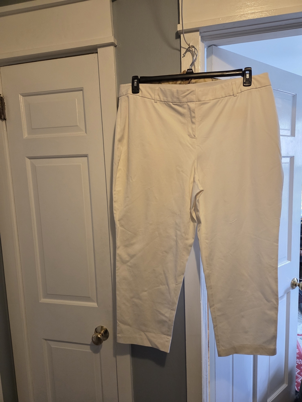 Alfani Cream Cropped Pull-On Pants 20W